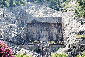 Tourists Visit The Longmen Grottoes in Luoyang