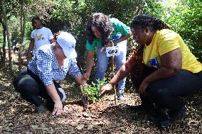 GHANA-ACCRA-TREE PLANTING-VOLUNTEERS