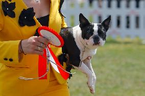 ROMANIA-BUCHAREST-CANINE BEAUTY SHOW