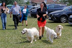 ROMANIA-BUCHAREST-CANINE BEAUTY SHOW