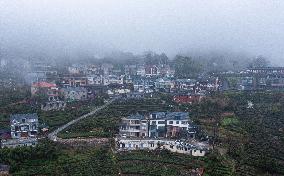 CHINA-ZHEJIANG-RURAL GREEN REVIVAL PROGRAM-VILLAGES(CN)