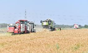 CHINA-TIANJIN-SUMMER HARVEST-MACHINES (CN)