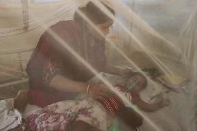 Dengue Fever Outbreak In Bangladesh