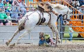 (SP)CANADA-MILTON-RODEO