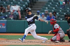 Greenville Drive Dash v Brooklyn Cyclones