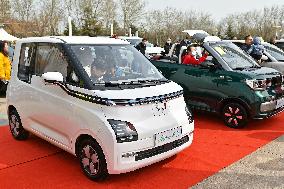 New Energy Vehicles Promotion