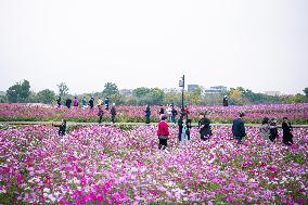 CHINA-ZHEJIANG-GREEN RURAL REVIVAL PROGRAM-VILLAGES (CN)