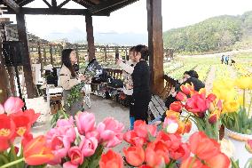 CHINA-ZHEJIANG-GREEN RURAL REVIVAL PROGRAM-VILLAGES (CN)