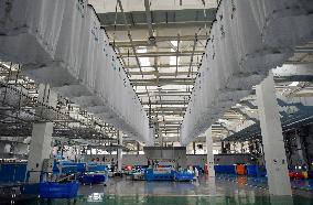 Textile Washing Industrial Park