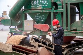 National Grain Reserve