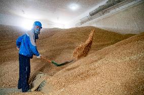 National Grain Reserve