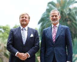 King Felipe Receives King Willem-Alexander - Madrid