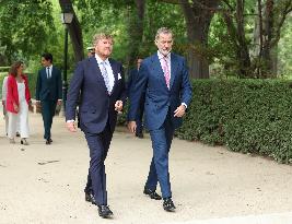 King Felipe Receives King Willem-Alexander - Madrid