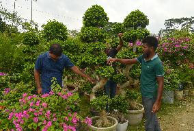 BANGLADESH-DHAKA-NATIONAL-TREE-FAIR
