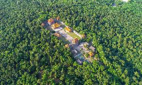 CHINA-LIAONING-SHENYANG-CITY VIEWS (CN)