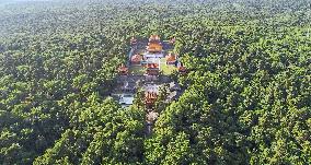 CHINA-LIAONING-SHENYANG-CITY VIEWS (CN)