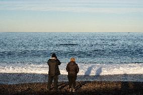 ARGENTINA-PUERTO MADRYN-ENVIRONMENT-WILDLIFE