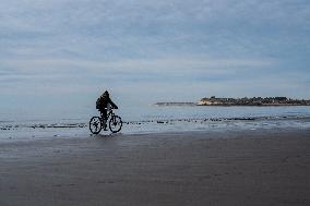 ARGENTINA-PUERTO MADRYN-ENVIRONMENT-WILDLIFE