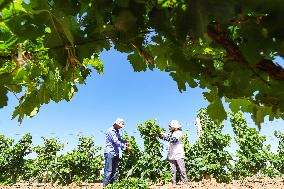 Environment Imporve In China