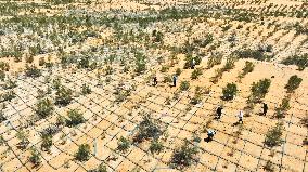 Environment Imporve In China