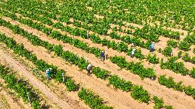 Environment Imporve In China