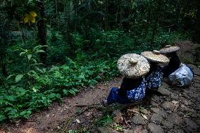 Indonesian Baduy Tribes Request For Internet Cut Off