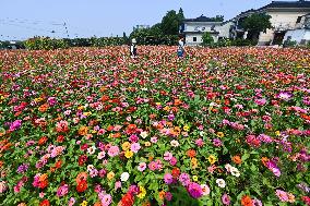 CHINA-ZHEJIANG-HUZHOU-GREEN RURAL REVIVAL PROGRAM-LANDSCAPE (CN)