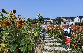 CHINA-ZHEJIANG-HUZHOU-GREEN RURAL REVIVAL PROGRAM-LANDSCAPE (CN)