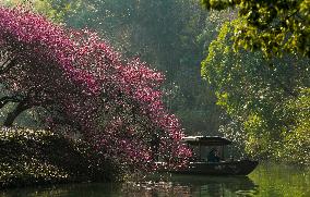 CHINA-ZHEJIANG-HANGZHOU-TIME-HONORED CITY (CN)