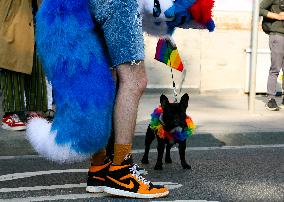 Pride Parade In Krakow