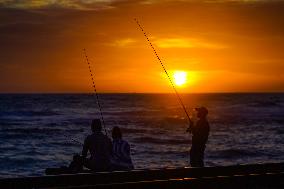 Daily Life In Colombo