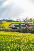 First French Hybrid Train Put Into Service By The Occitanie Region