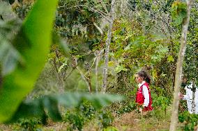 Queen Letizia Visit Colombia On Cooperation Trip - Cali