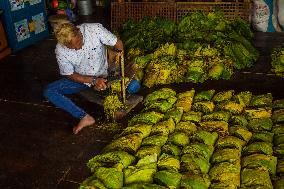 Tobacco Village During Dry Season In Sumedang