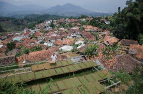 INDONESIA-SUMEDANG-DAILY LIFE-TOBACCO LEAVES