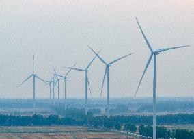 World Wind Energy Day