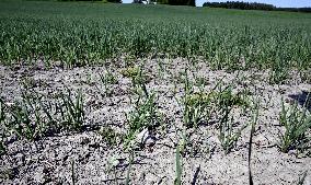 Drought in Finland