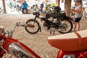 Gathering of Old Mopeds - Piney
