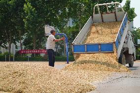 CHINA-SHANDONG-LINYI-GOVERNMENT COMPOUNDS-GRAIN DRYING (CN)