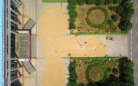 CHINA-SHANDONG-LINYI-GOVERNMENT COMPOUNDS-GRAIN DRYING (CN)