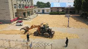 CHINA-SHANDONG-LINYI-GOVERNMENT COMPOUNDS-GRAIN DRYING (CN)