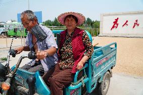 CHINA-SHANDONG-LINYI-GOVERNMENT COMPOUNDS-GRAIN DRYING (CN)