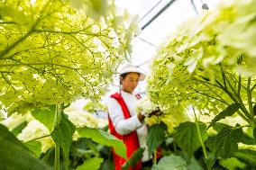 China Flower Industry