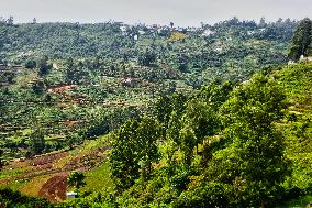 Daily Life In Dindigul