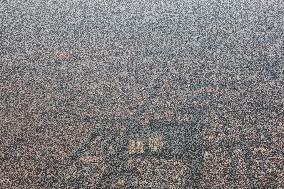 Jakarta Air Pollution