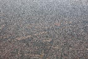 Jakarta Air Pollution