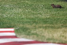 F1 Grand Prix Of Canada Practice 2