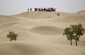 CHINA-XINJIANG-DESERT-GREEN DEVELOPMENT (CN)