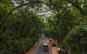 Daily Life In Kurunegala, Sri Lanka