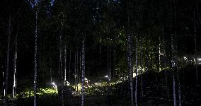 Porvoo Borgå Jukola 2023 - Jukola relay